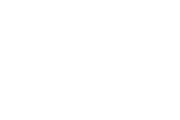 logo-image