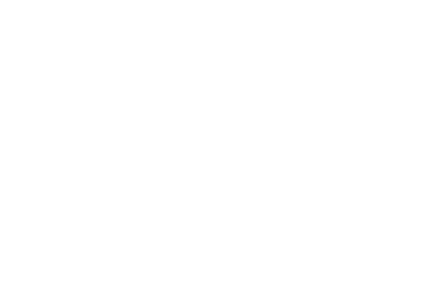 logo-image